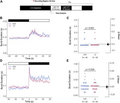 Gap junction Delta-2b (gjd2b/Cx35.1) depletion causes hyperopia and visual-motor deficiencies in the zebrafish